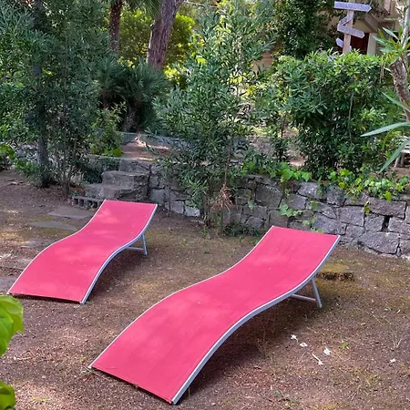 Verde * Procchio (Isola d'Elba)