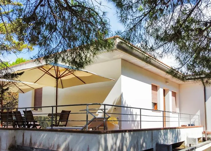 Verde * Проккио