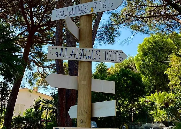 Verde * Procchio (Isola d'Elba)