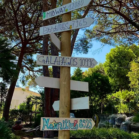 Verde * Procchio (Isola d'Elba)